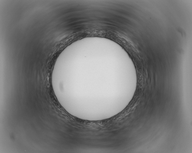 X0000111681013200907311215