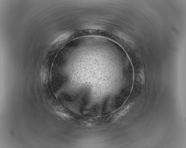 X0000111681014200907311215