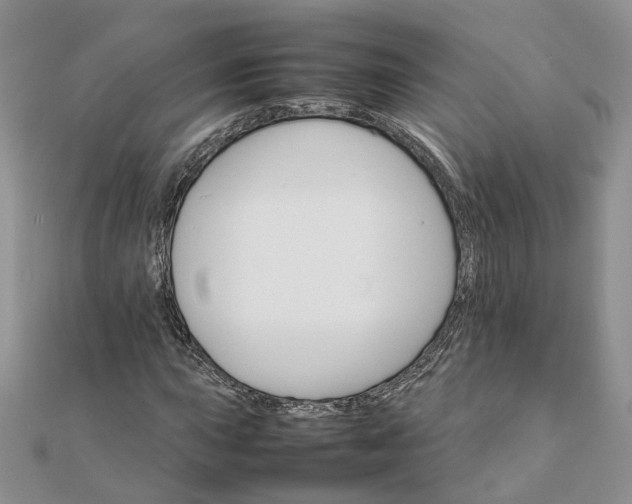 X0000111681015200907311215