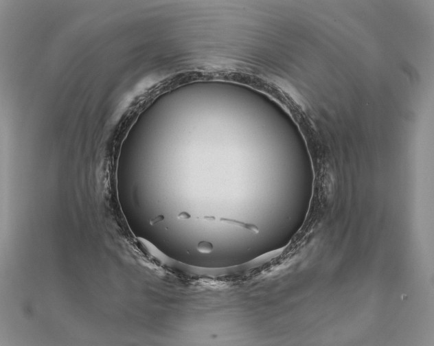 X0000111681016200907311215