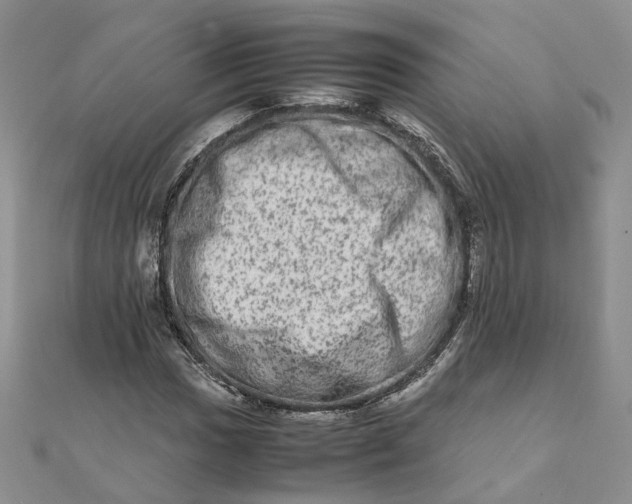 X0000111681017200907311215