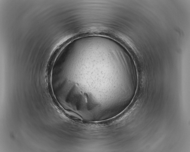 X0000111681018200907311215