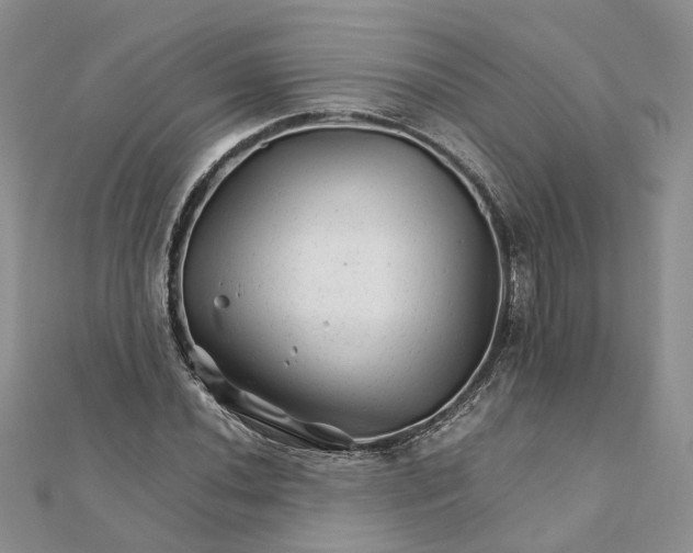 X0000111681020200907311215