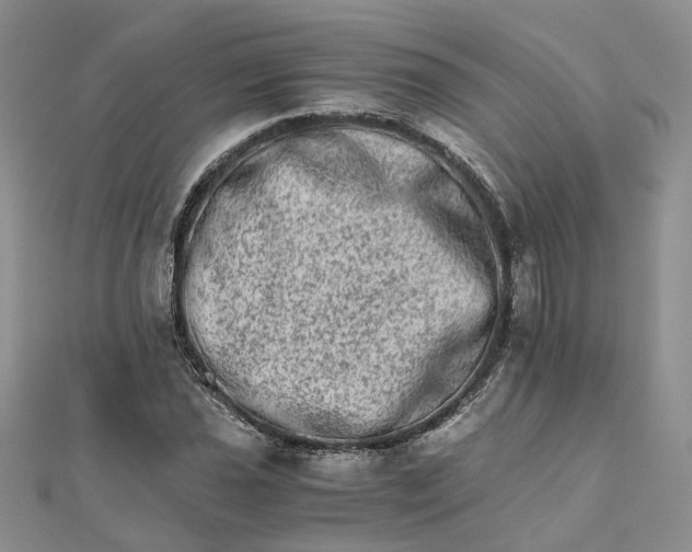 X0000111681021200907311215