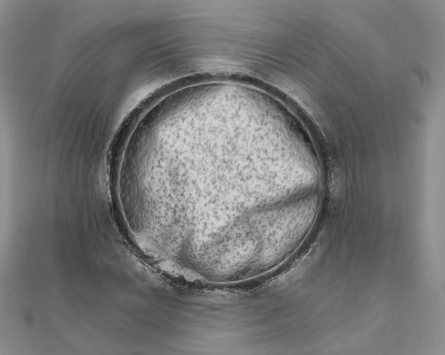 X0000111681022200907311215