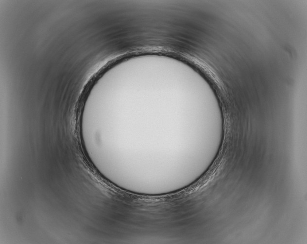 X0000111681023200907311215