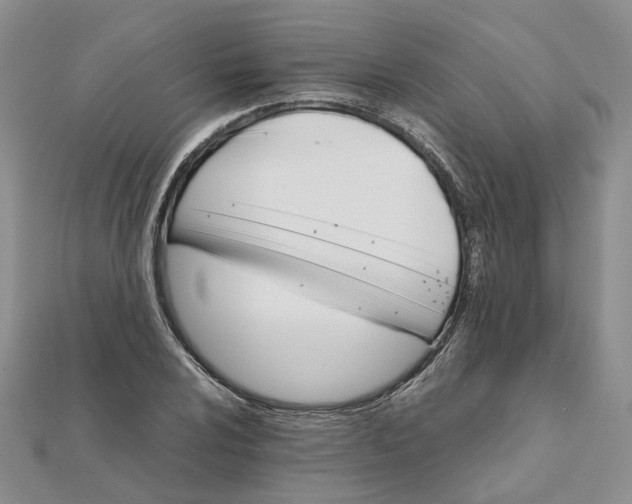 X0000111681024200907311215