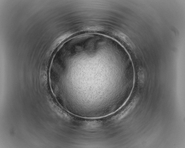 X0000111681025200907311215