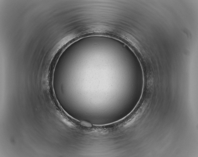 X0000111681026200907311215