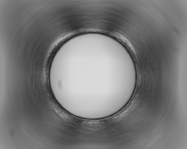 X0000111681027200907311215