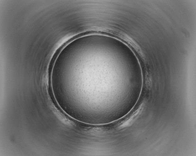 X0000111681028200907311215