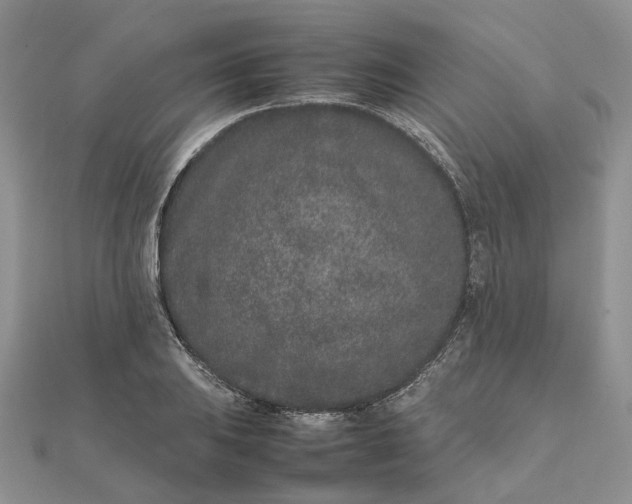 X0000111681031200907311215