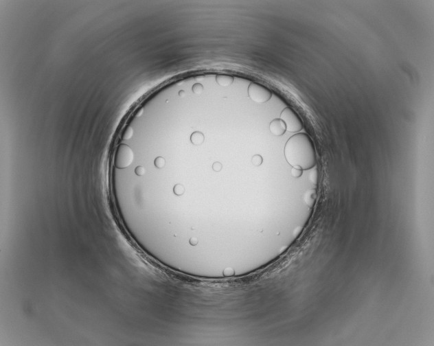 X0000111681032200907311215