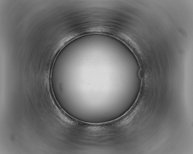 X0000111681033200907311215