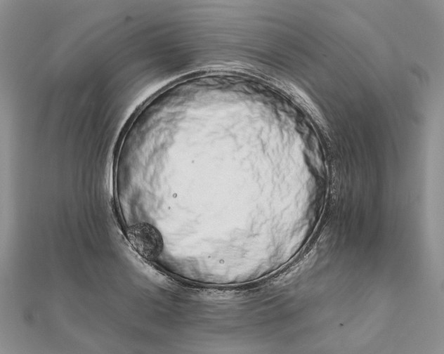 X0000111681036200907311215