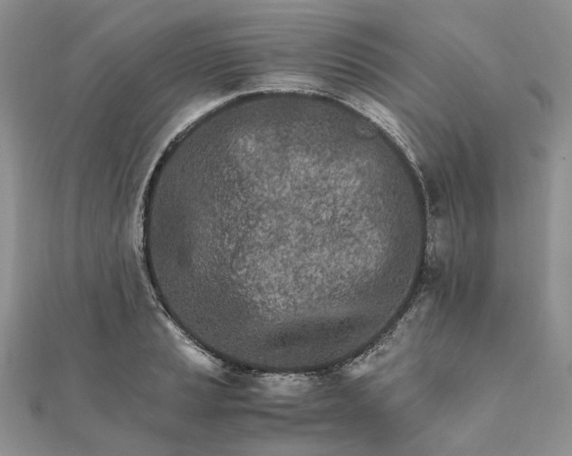 X0000111681037200907311215