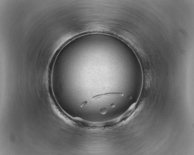 X0000111681038200907311215