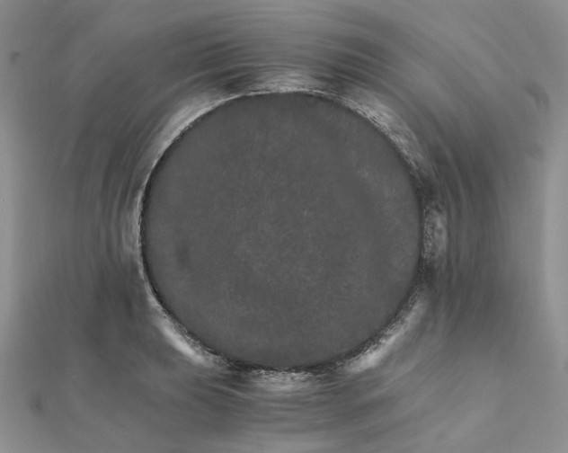 X0000111681039200907311215