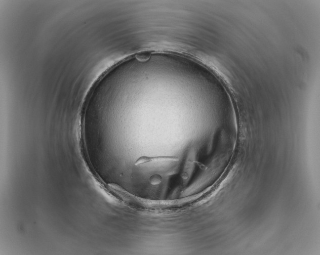 X0000111681040200907311215