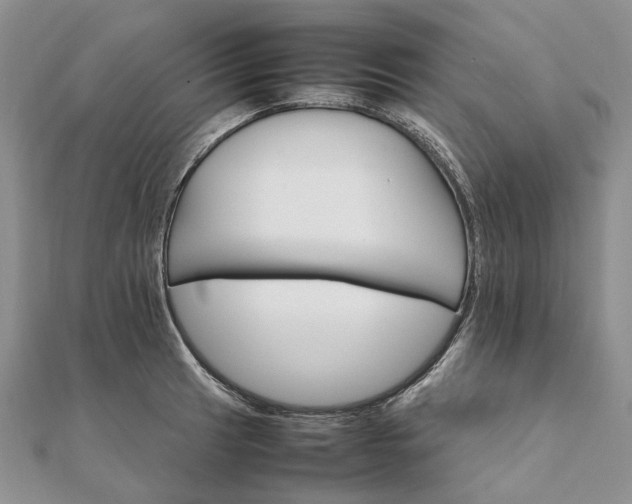 X0000111681041200907311215