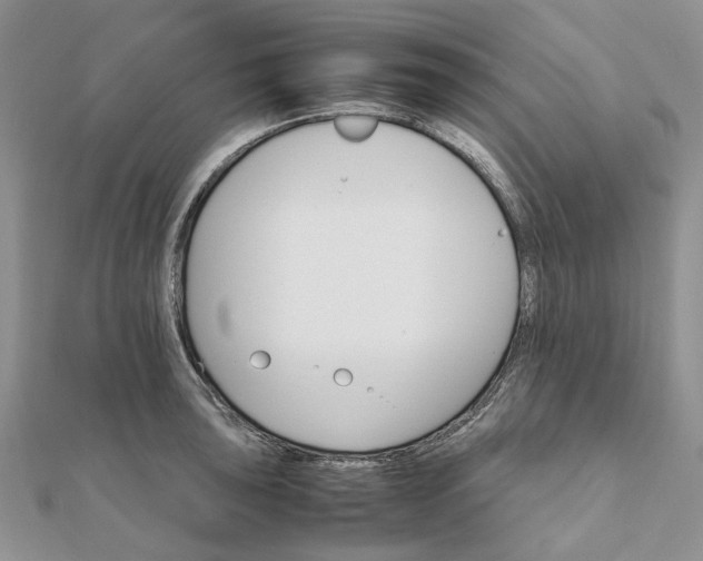 X0000111681043200907311215