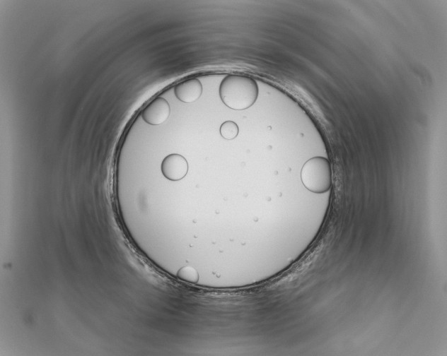 X0000111681044200907311215