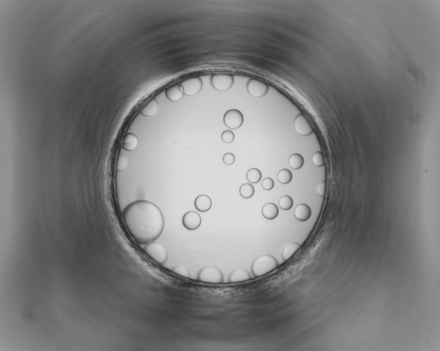 X0000111681045200907311215