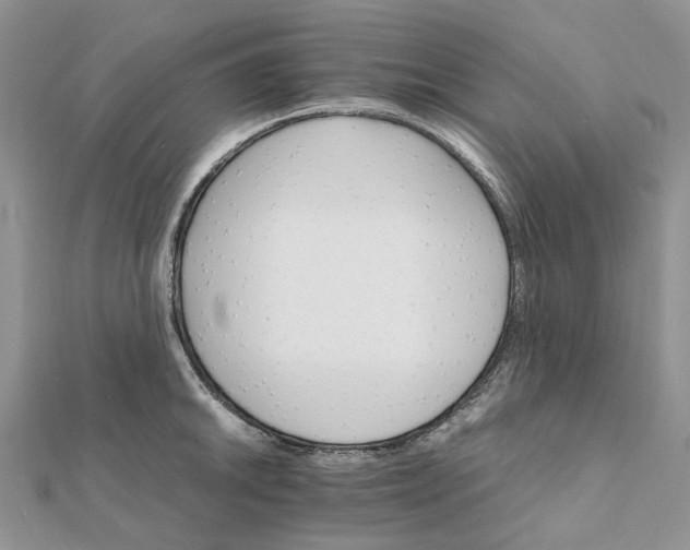 X0000111681046200907311215