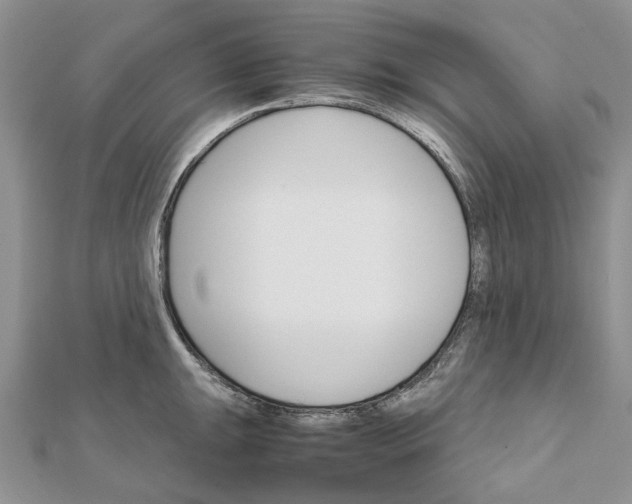 X0000111681047200907311215