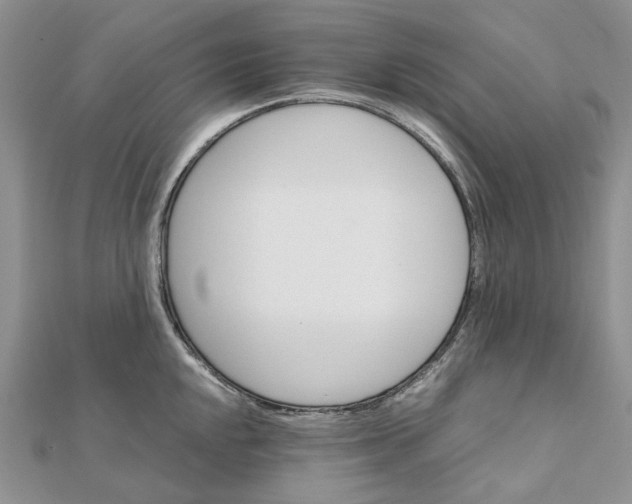 X0000111681048200907311215