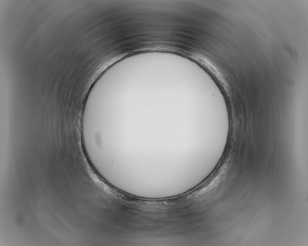 X0000111681049200907311215