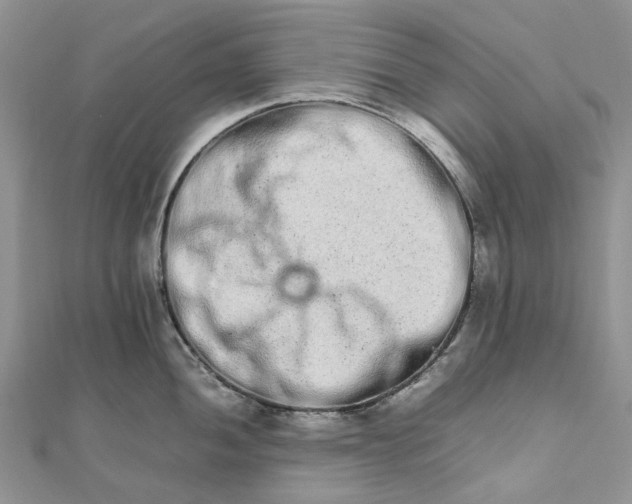 X0000111681052200907311215