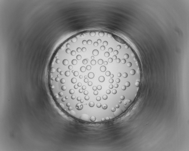 X0000111681053200907311215