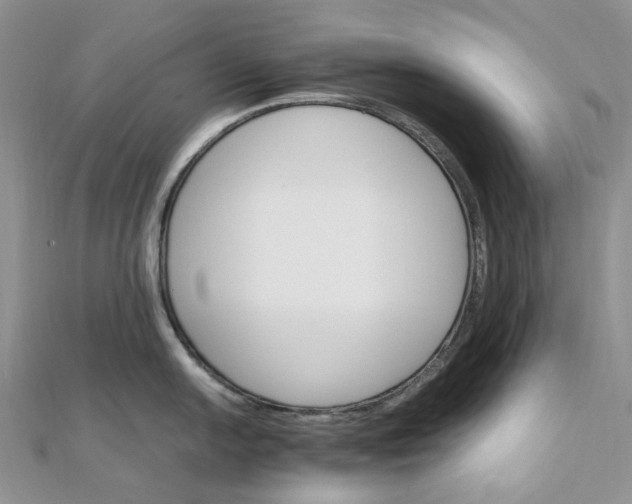 X0000111681054200907311215