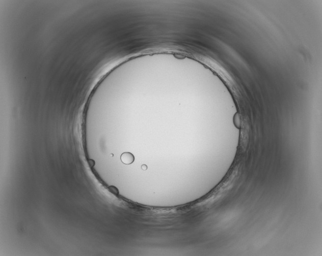 X0000111681055200907311215