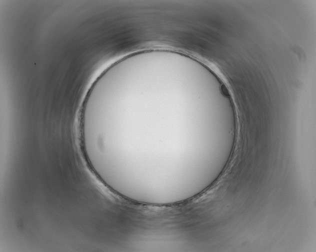 X0000111681056200907311215