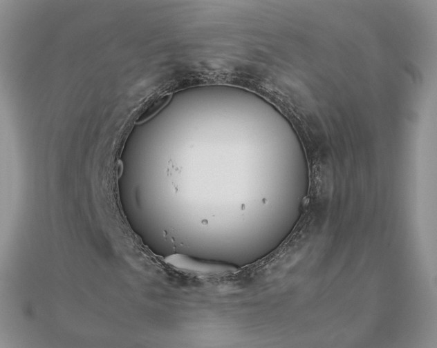 X0000111681057200907311215