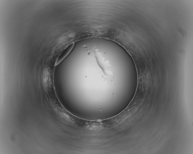 X0000111681058200907311215