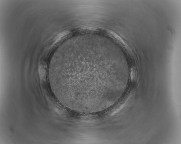 X0000111681059200907311215