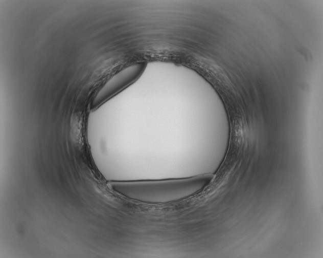 X0000111681060200907311215