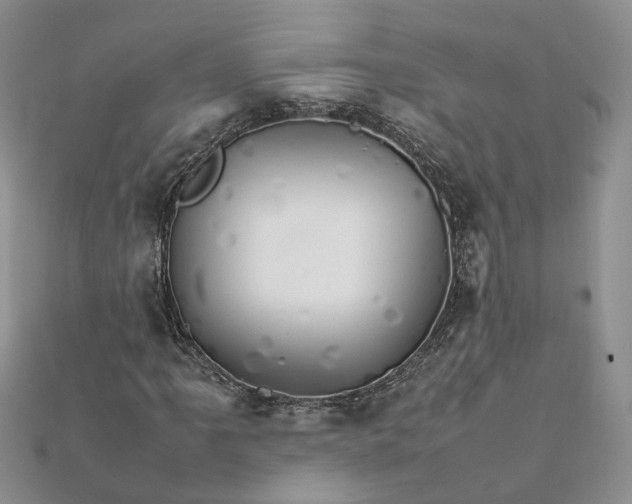 X0000111681061200907311215