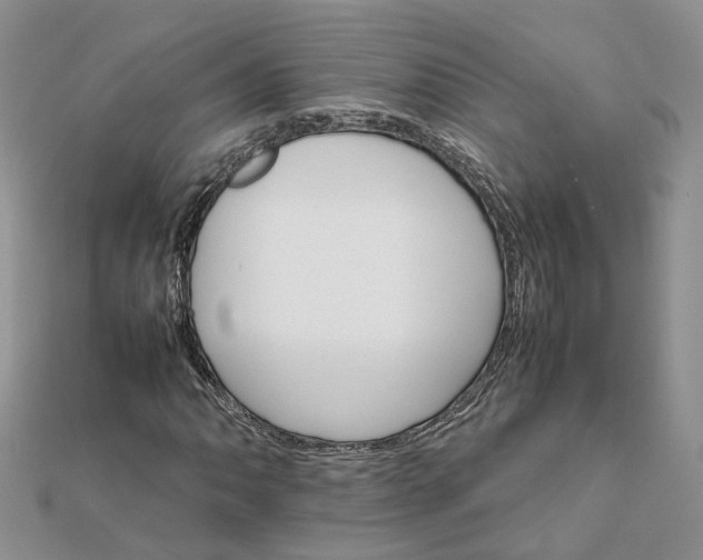 X0000111681062200907311215