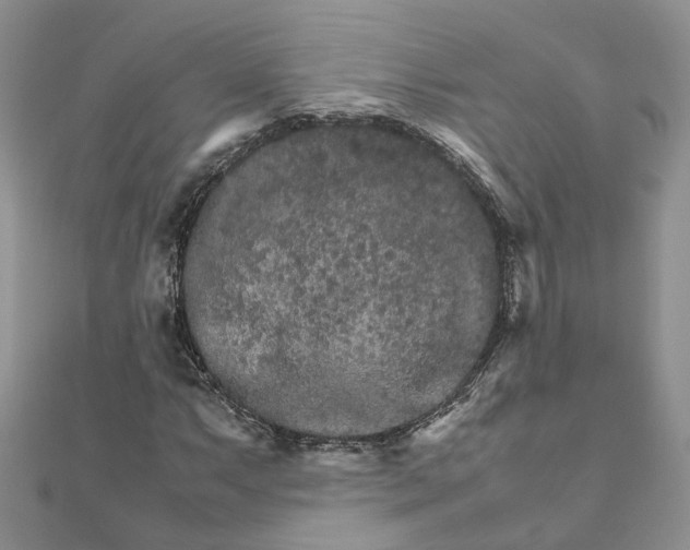 X0000111681063200907311215