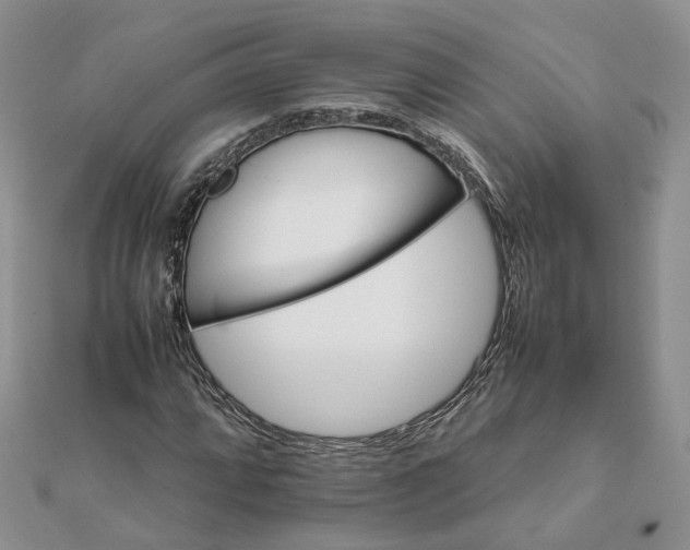 X0000111681064200907311215