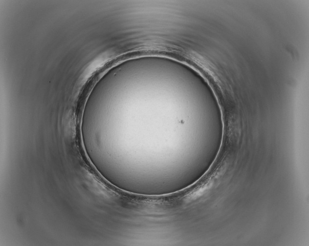 X0000111681067200907311215