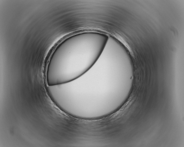 X0000111681068200907311215