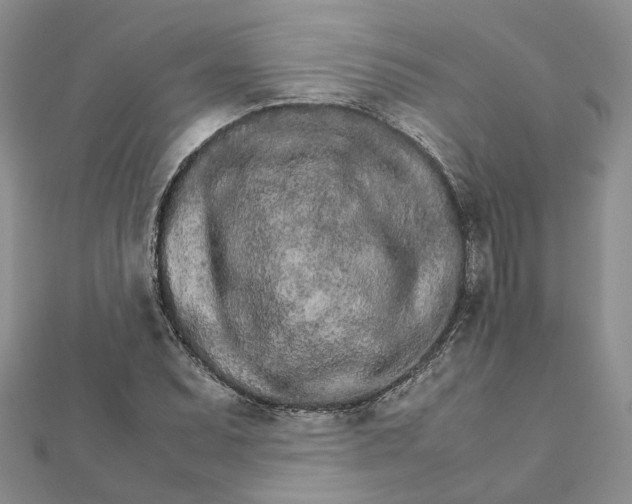 X0000111681071200907311215