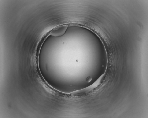 X0000111681072200907311215