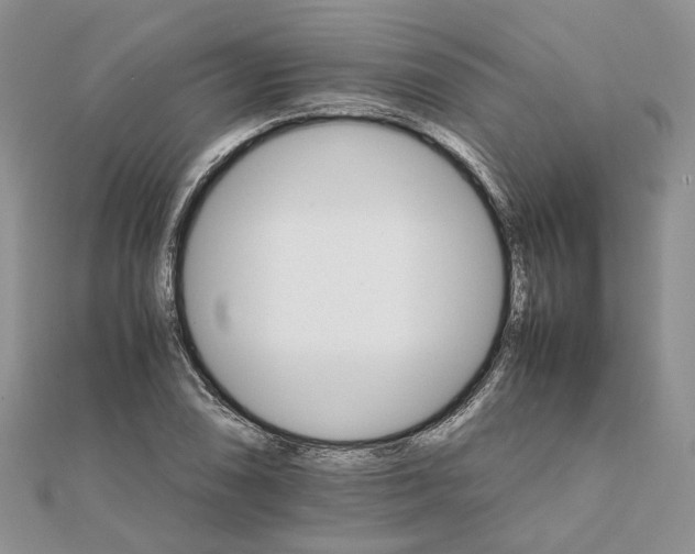 X0000111681074200907311215