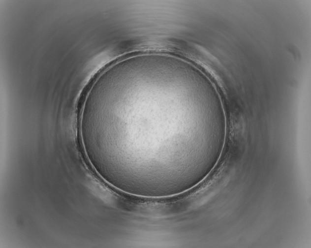 X0000111681075200907311215